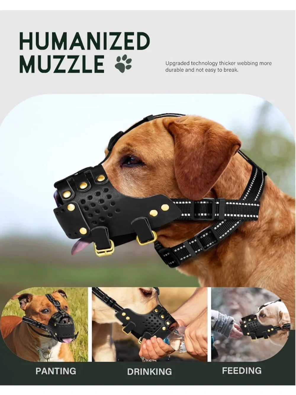 Black Leather Basket Dog Muzzle with Gold Rivets and Buckles